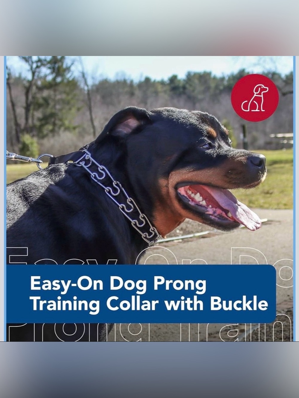 Collar for Dogs - Durable Metal Dog Collar - Training Collar with Side Release B